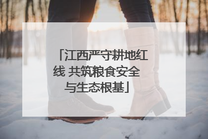 江西严守耕地红线 共筑粮食安全与生态根基
