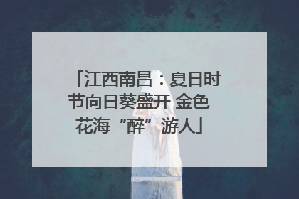 江西南昌：夏日时节向日葵盛开 金色花海“醉”游人