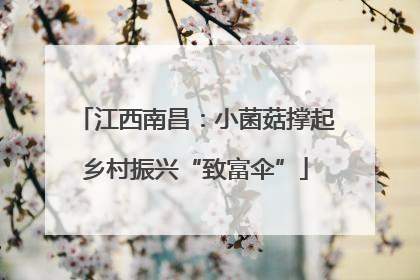 江西南昌：小菌菇撑起乡村振兴“致富伞”