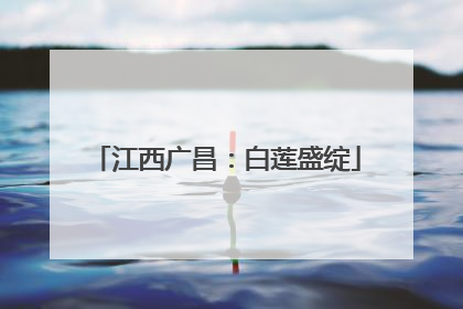 江西广昌：白莲盛绽