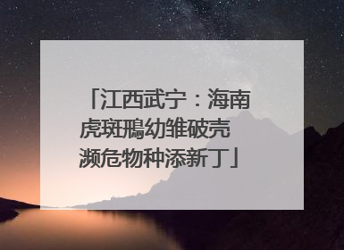江西武宁：海南虎斑鳽幼雏破壳 濒危物种添新丁