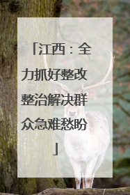 江西：全力抓好整改整治解决群众急难愁盼