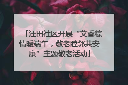 汪田社区开展“艾香粽情暖端午,敬老睦邻共安康”主题敬老活动
