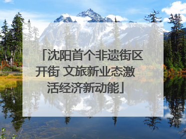 沈阳首个非遗街区开街 文旅新业态激活经济新动能