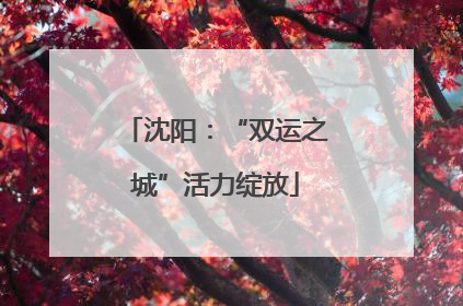 沈阳：“双运之城”活力绽放