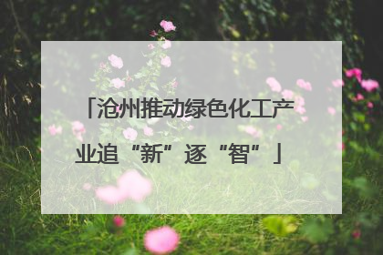沧州推动绿色化工产业追“新”逐“智”
