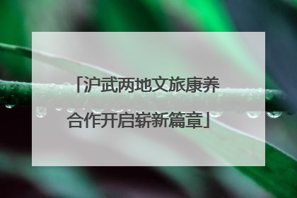 沪武两地文旅康养合作开启崭新篇章