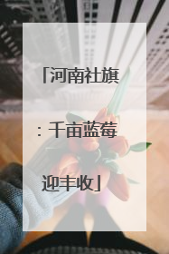 河南社旗：千亩蓝莓迎丰收