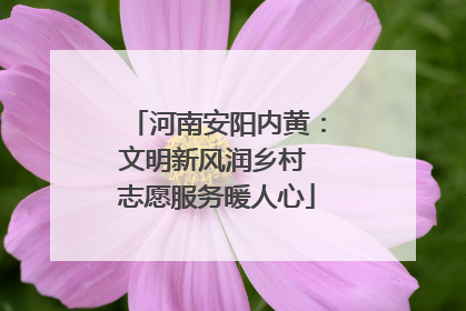 河南安阳内黄：文明新风润乡村 志愿服务暖人心