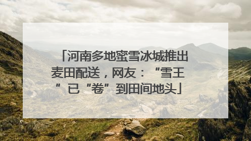 河南多地蜜雪冰城推出麦田配送，网友：“雪王”已“卷”到田间地头