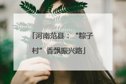 河南范县：“粽子村”香飘振兴路