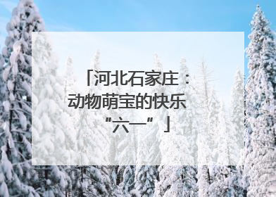 河北石家庄：动物萌宝的快乐“六一”