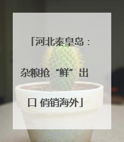 河北秦皇岛：杂粮抢“鲜”出口 俏销海外