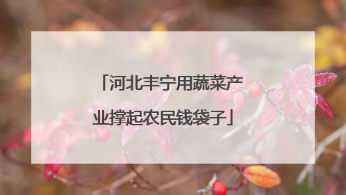 河北丰宁用蔬菜产业撑起农民钱袋子