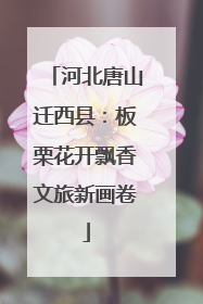 河北唐山迁西县：板栗花开飘香文旅新画卷