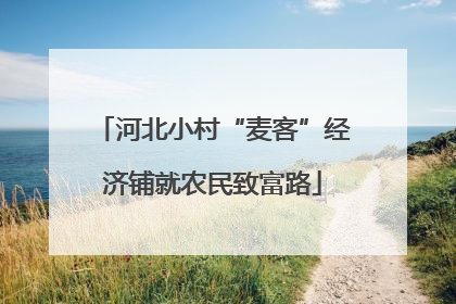 河北小村“麦客”经济铺就农民致富路