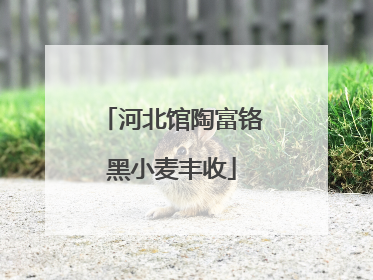 河北馆陶富铬黑小麦丰收