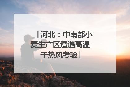 河北：中南部小麦生产区遭遇高温干热风考验