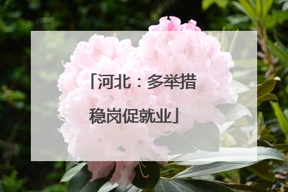 河北：多举措稳岗促就业