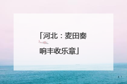 河北：麦田奏响丰收乐章