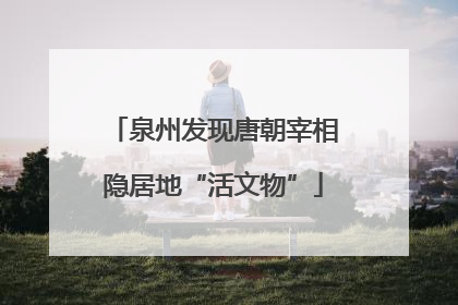 泉州发现唐朝宰相隐居地“活文物”