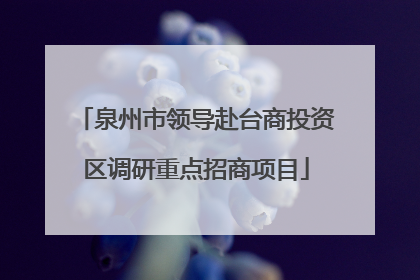 泉州市领导赴台商投资区调研重点招商项目