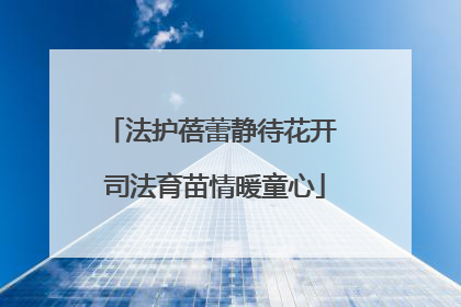 法护蓓蕾静待花开 司法育苗情暖童心