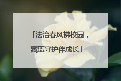 法治春风拂校园，藏蓝守护伴成长