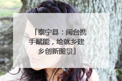 泰宁县：闽台携手赋能，绘就乡建乡创新图景