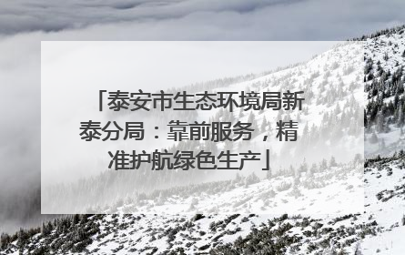 泰安市生态环境局新泰分局：靠前服务，精准护航绿色生产