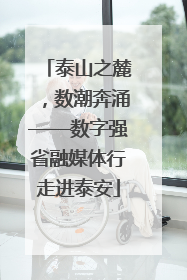 泰山之麓，数潮奔涌——数字强省融媒体行走进泰安