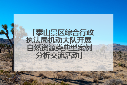 泰山景区综合行政执法局机动大队开展自然资源类典型案例分析交流活动