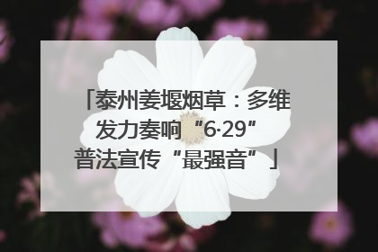 泰州姜堰烟草：多维发力奏响“6·29”普法宣传“最强音”