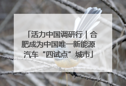 活力中国调研行｜合肥成为中国唯一新能源汽车“四试点”城市