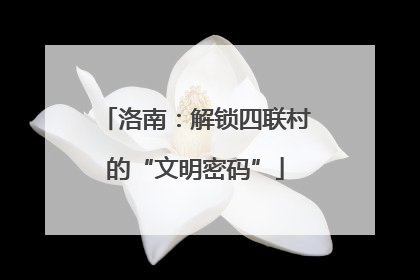 洛南：解锁四联村的“文明密码”