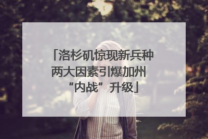 洛杉矶惊现新兵种 两大因素引爆加州“内战”升级