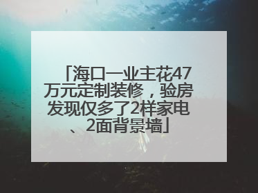 海口一业主花47万元定制装修，验房发现仅多了2样家电、2面背景墙