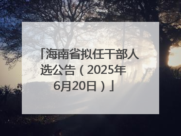 海南省拟任干部人选公告（2025年6月20日）