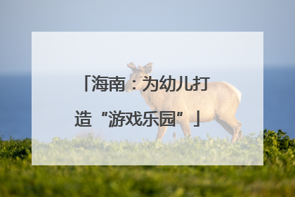 海南：为幼儿打造“游戏乐园”