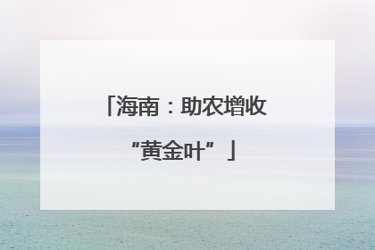 海南：助农增收 “黄金叶”