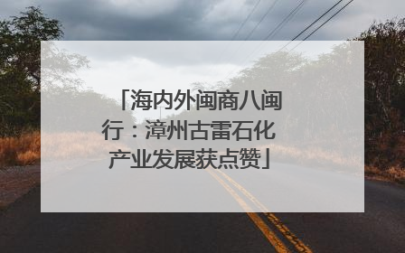 海内外闽商八闽行：漳州古雷石化产业发展获点赞