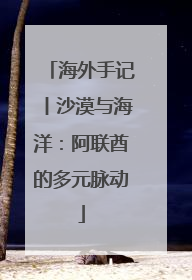 海外手记丨沙漠与海洋：阿联酋的多元脉动