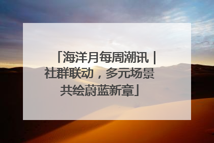 海洋月每周潮讯｜社群联动，多元场景共绘蔚蓝新章