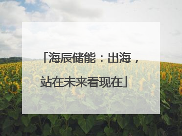 海辰储能：出海，站在未来看现在