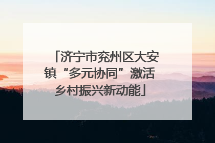 济宁市兖州区大安镇“多元协同”激活乡村振兴新动能