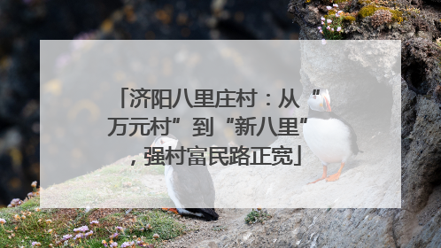 济阳八里庄村：从“万元村”到“新八里”，强村富民路正宽