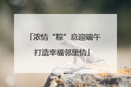 浓情“粽”意迎端午 打造幸福邻里情