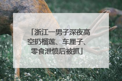 浙江一男子深夜高空扔榴莲、车厘子、零食泄愤后被抓