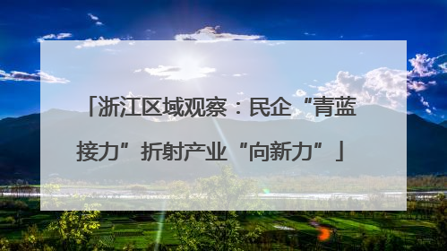 浙江区域观察：民企“青蓝接力”折射产业“向新力”