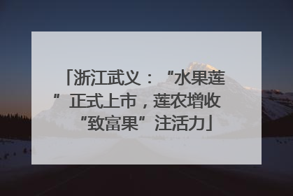浙江武义：“水果莲”正式上市，莲农增收“致富果”注活力